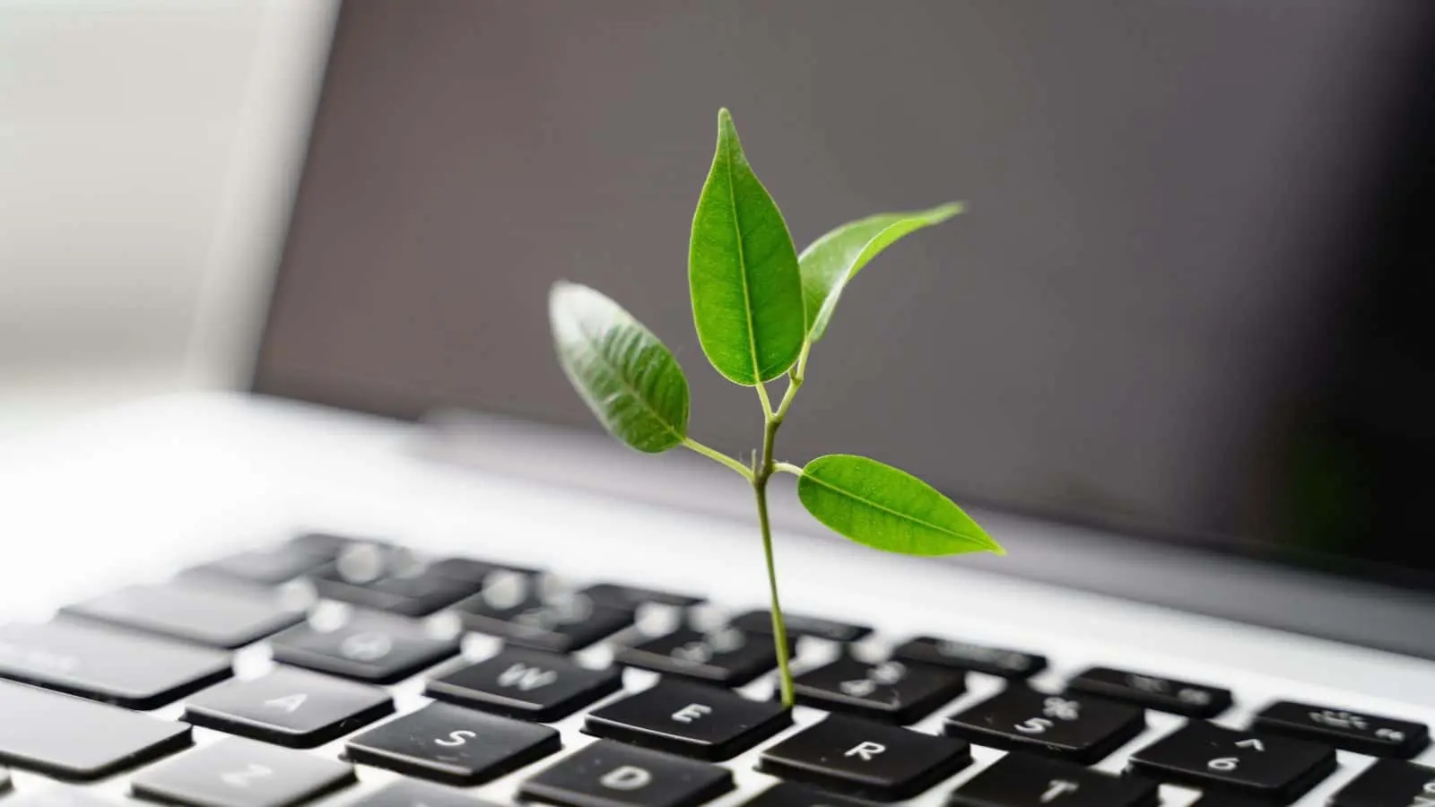 sustainable laptop